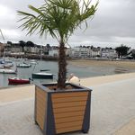 Collection : giga : photo 40/61