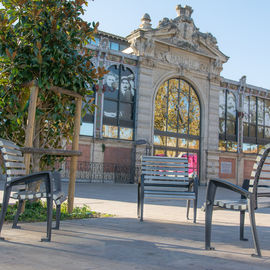 PICADILLY / PASEO EVOLUTION ECOTECK / DIVA